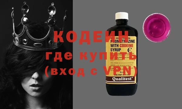 хмурый Верея