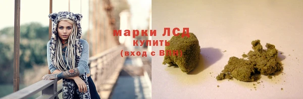 хмурый Верея