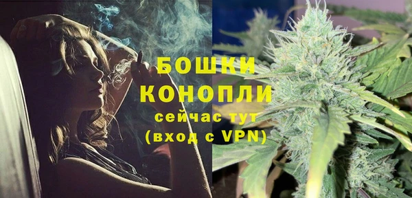 хмурый Верея