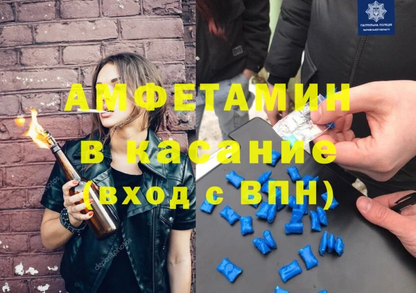 хмурый Верея