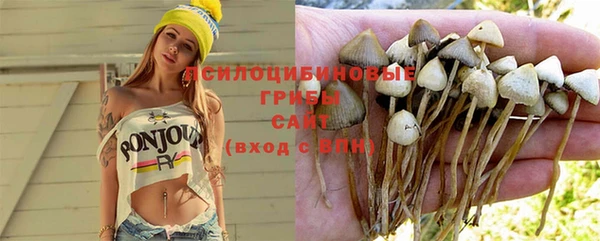 хмурый Верея