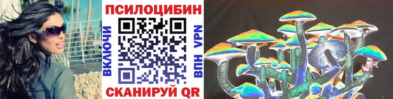 Галлюциногенные грибы Psilocybe  Купить закладки  Спасск-Дальний 